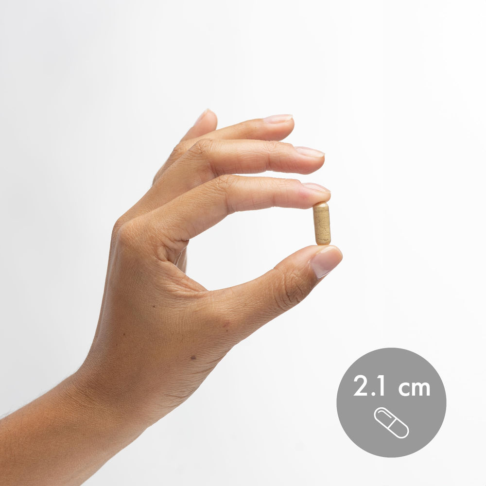 Non-GMO, Gluten-Free & Soy-Free icons on packaging