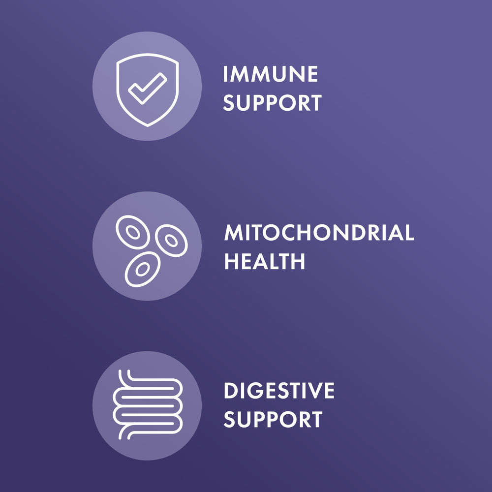 Three-pack display of Dr. Mercola Full Spectrum Enzymes