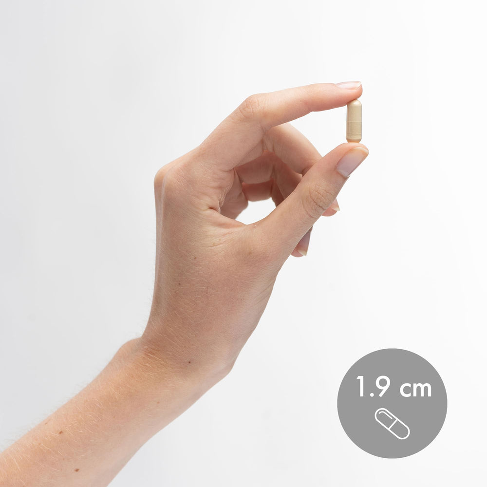 Dr Mercola Full Spectrum Enzymes for Women packaging display communicates 90 capsules