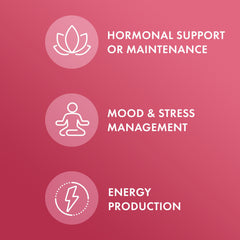 Close-up of key ingredients: Holy Basil, Ashwagandha, Shatavari, Schisandra