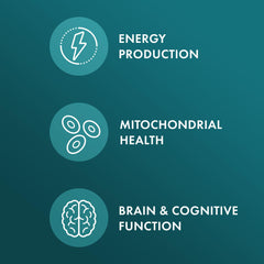L-Glycine supports collagen formation for bones, muscles and connective tissue