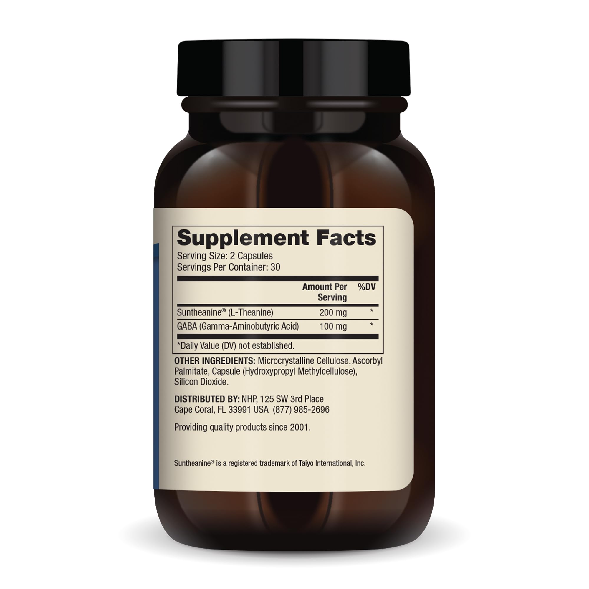 Close-up of Dr. Mercola L-Theanine Plus GABA label on bottle