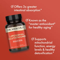 Supplement facts panel on bottle