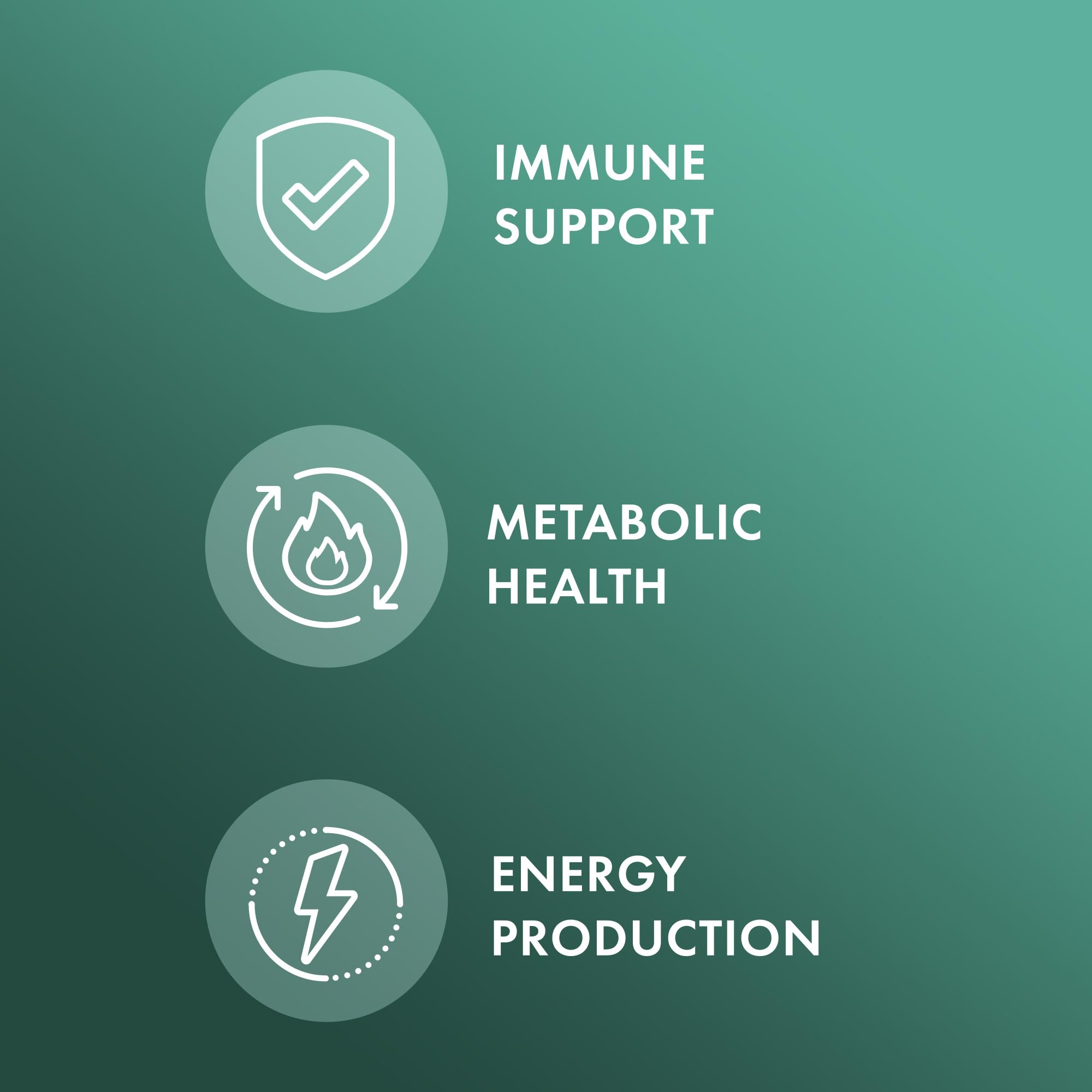 Close-up of L-Lysine HCl on supplement label
