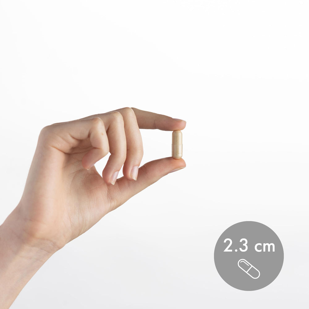 Front view of Dr. Mercola L-Lysine packaging