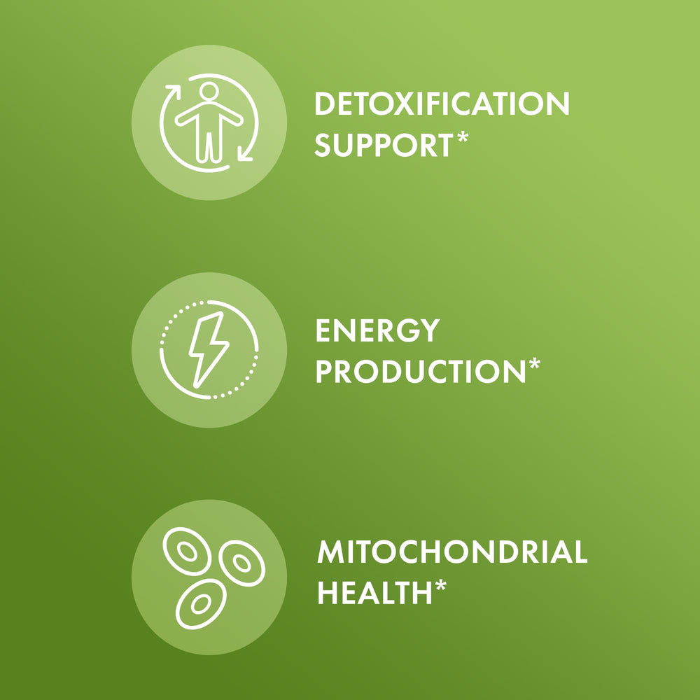 Graphic showing 5-MTHF bioavailable folate