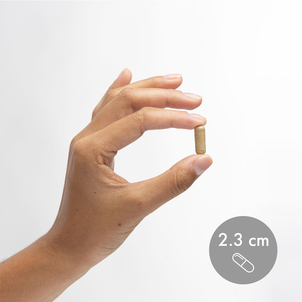 MTHFR gene variants-friendly folate formulation