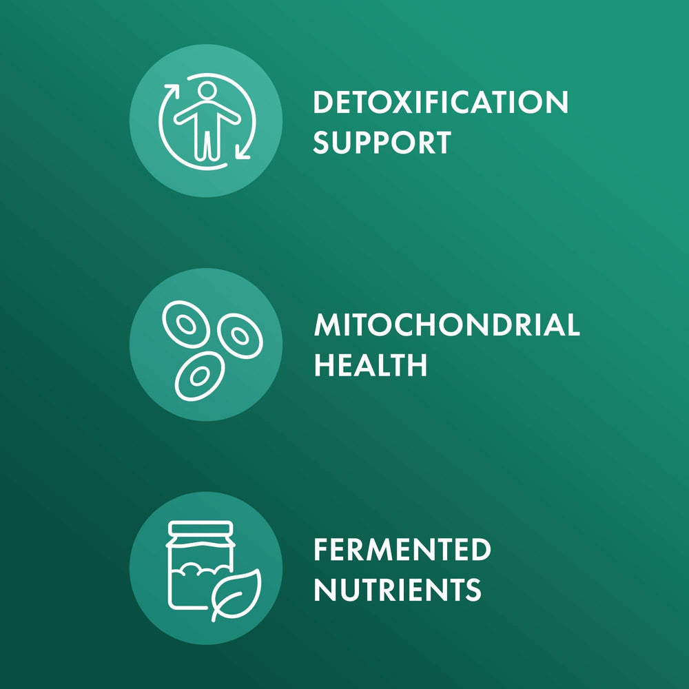 Illustration of fermentation process enhancing nutrient absorption