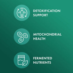Illustration of fermentation process enhancing nutrient absorption