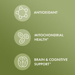 NeuroFactor coffee fruit extract illustration