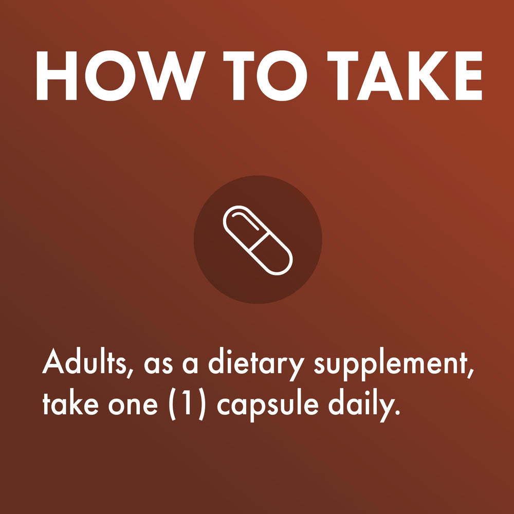 Graphic illustrating 500 mg fruitbody extract and 25% Beta-Glucans