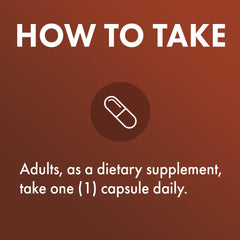 Graphic illustrating 500 mg fruitbody extract and 25% Beta-Glucans