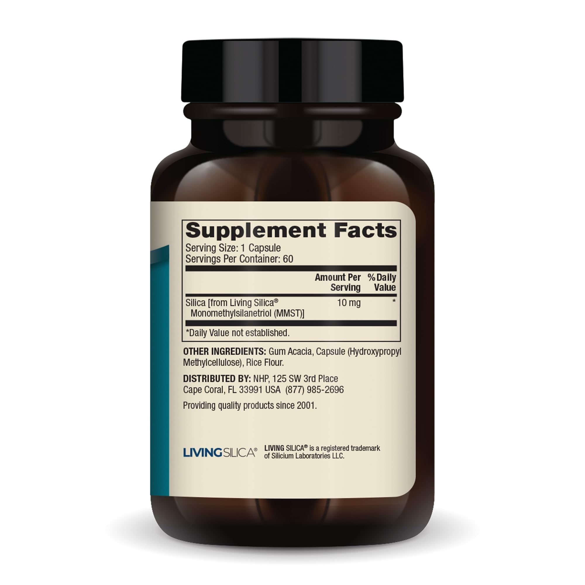 Illustration of plant-based silica ingredients for collagen support