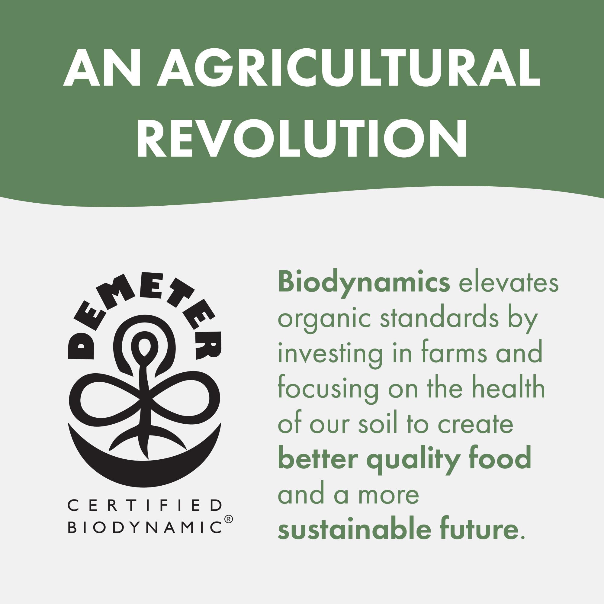 Solspring Biodynamic Organic Fermented Turmeric Powder packaging