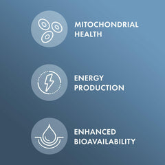 Antioxidant protection against free radicals