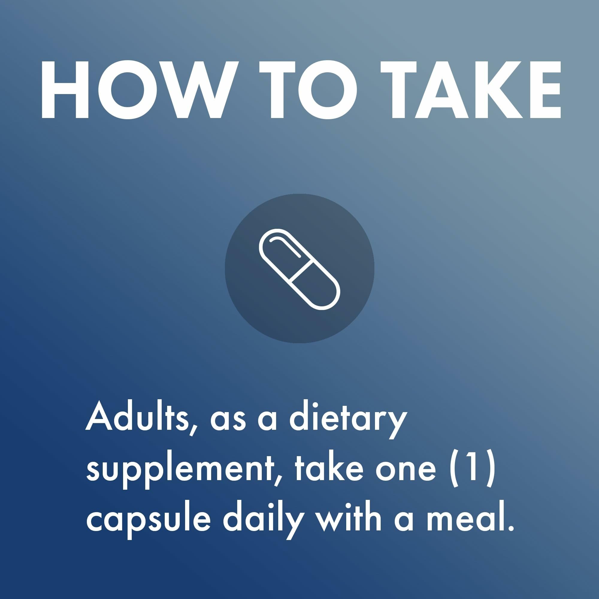 Illustration highlighting brain support benefits