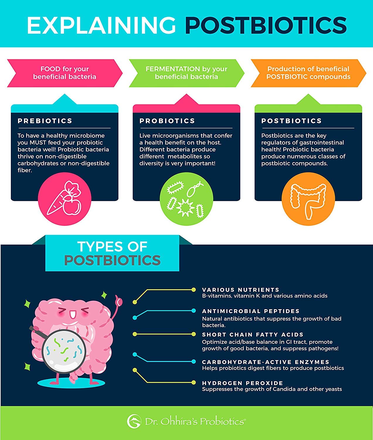 Acid-resistant capsule ensuring delivery to the gut
