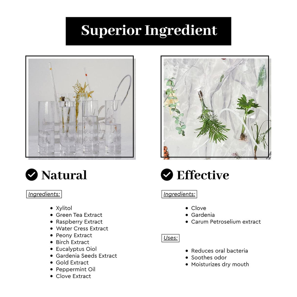 Spray nozzle dispensing mist