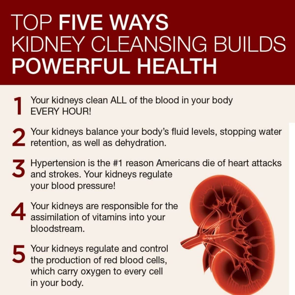 5-day cleanse concept graphic for kidney health