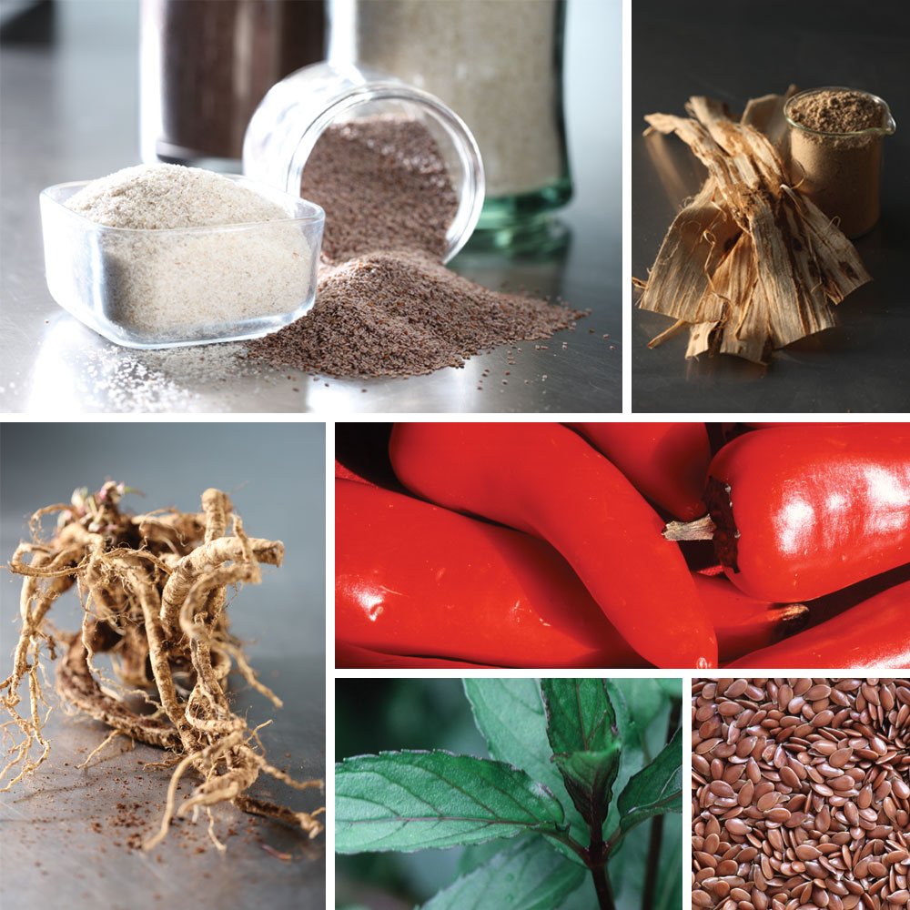 Dr. Schulze's Intestinal Formula #2 teaspoon serving demonstrates easy daily dosing