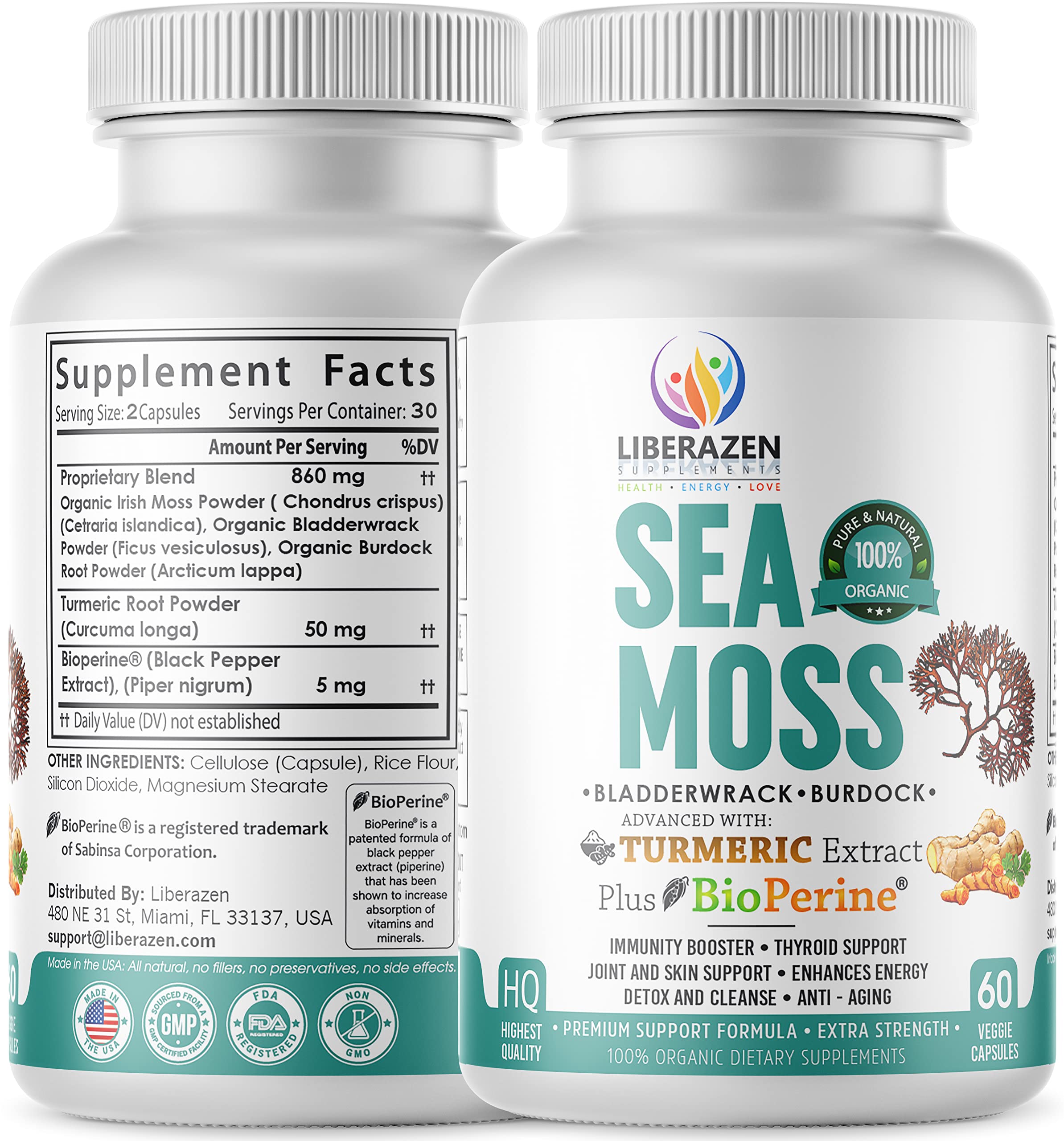 Dr. Sebi-inspired seamoss ingredients illustration