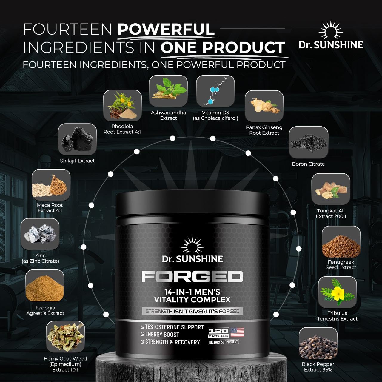 DR. SUNSHINE Forged 14-in-1 Shilajit capsules in hand support on-the-go energy.