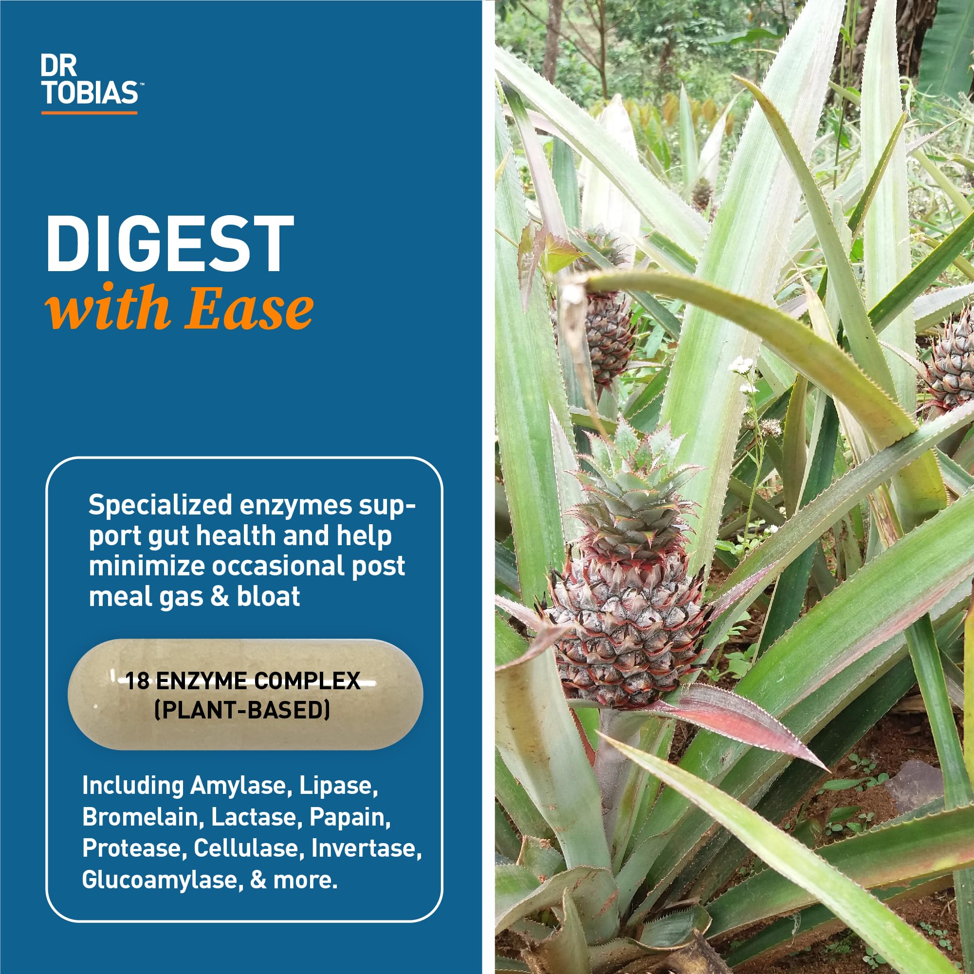 Capsules of Dr. Tobias Digestive Enzymes