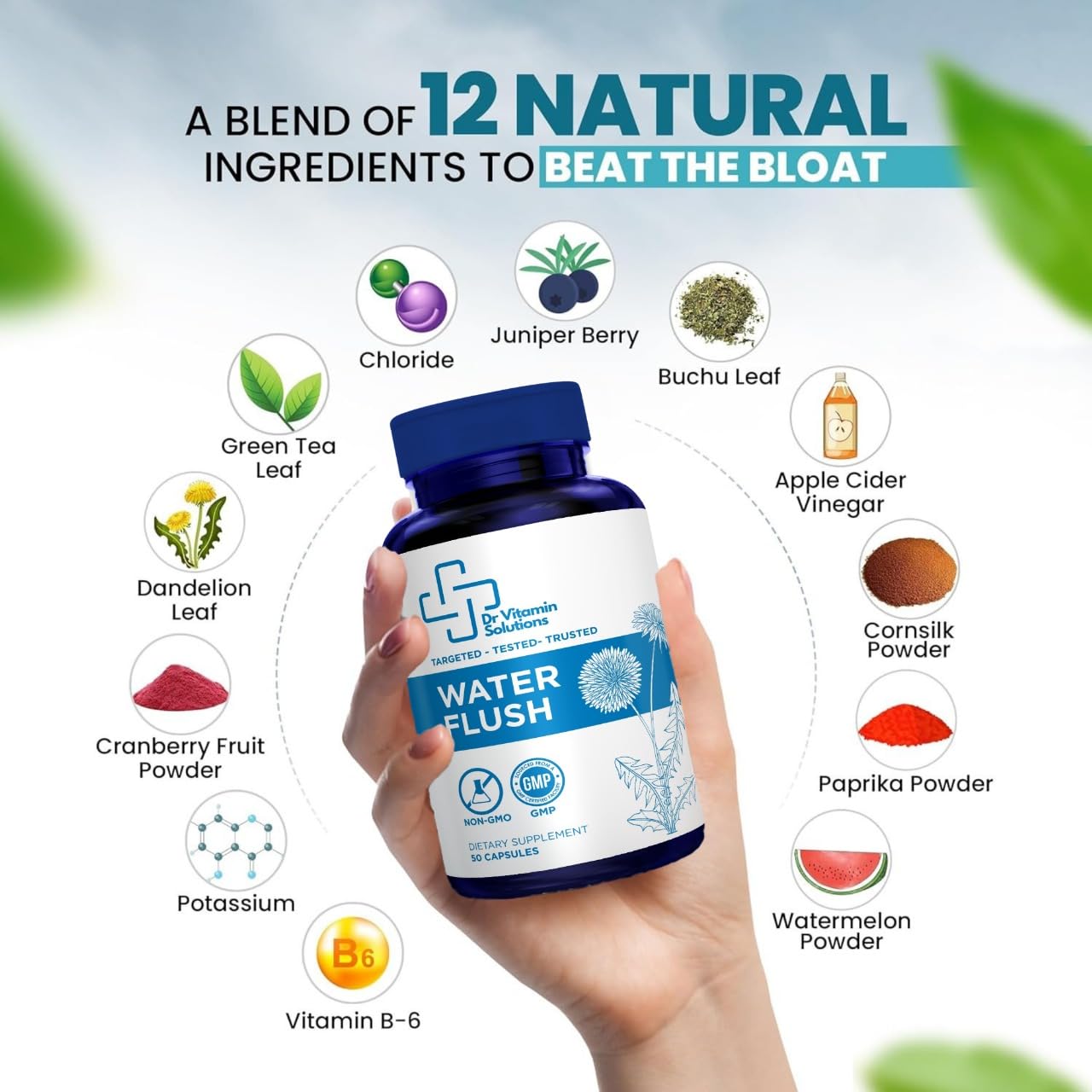 DR VITAMIN SOLUTIONS Water Flush ingredients cranberry highlight urinary tract wellness alongside hydration