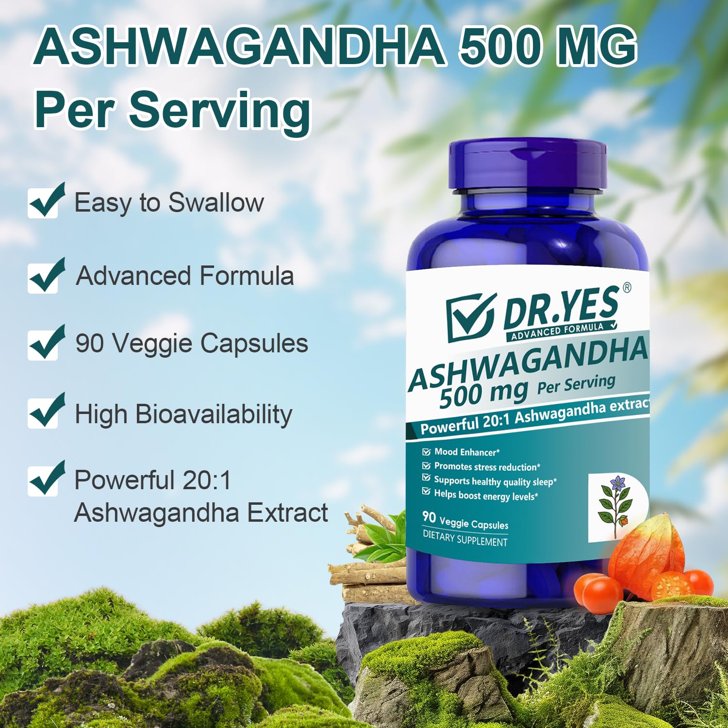 Close-up of DR.YES Ashwagandha 500mg capsules
