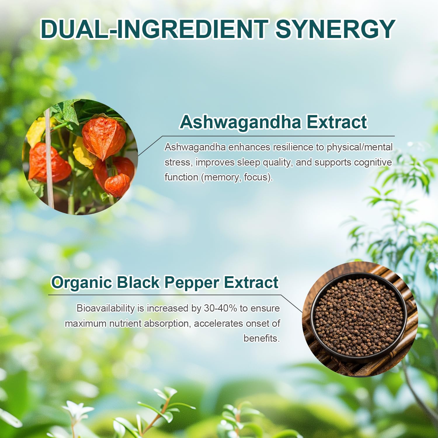 Organic black pepper extract highlighting absorption advantage