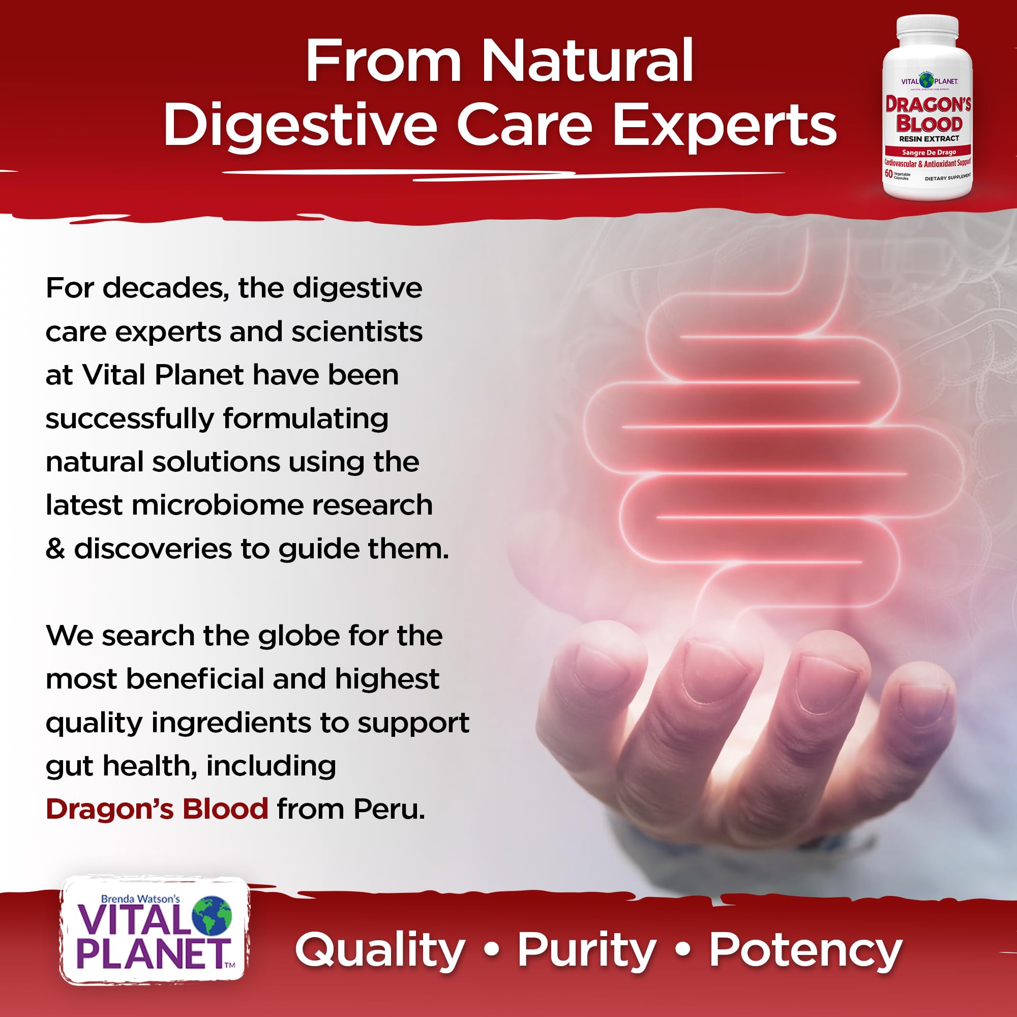 Sustainably sourced Dragon's Blood resin capsules (vegan) packaging