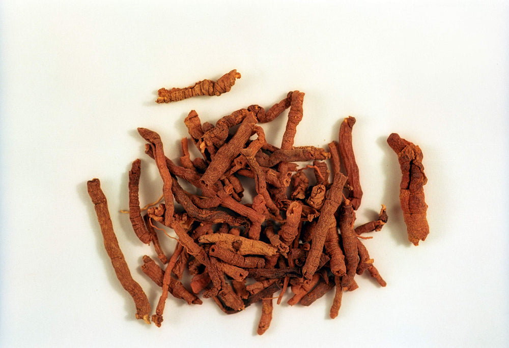 Dragon Herbs branding and premium tonic line