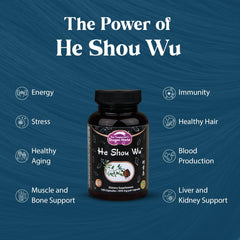 Prepared He Shou Wu capsules arranged in a row