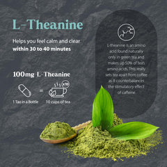 Ingredients panel for Tao in a Bottle herbal formula