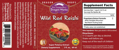 Wild Red Reishi mushrooms in natural alpine habitat