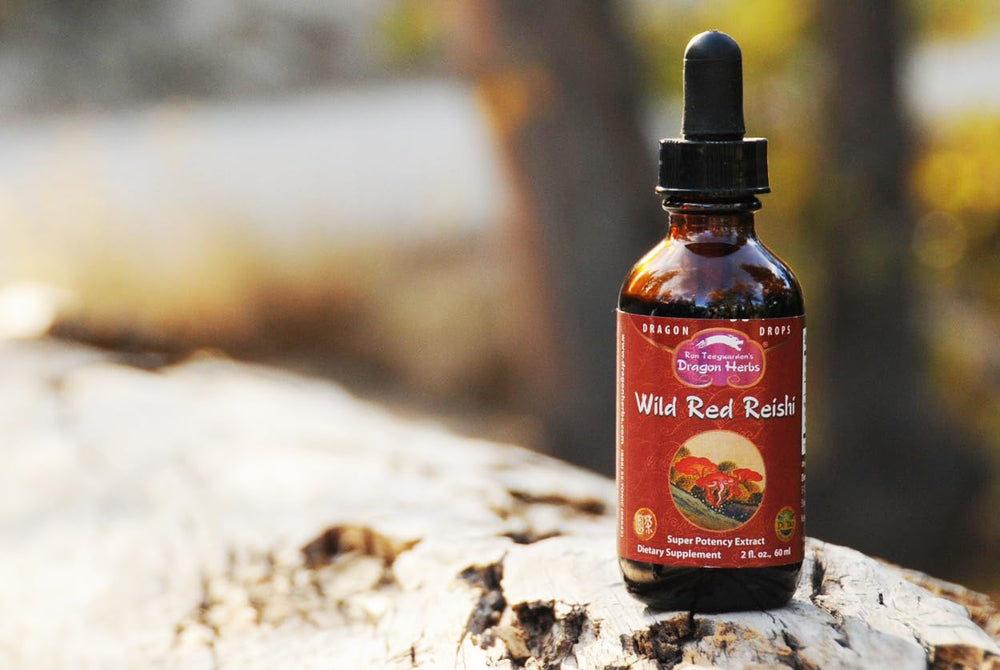 Label showing 100% wild Reishi fruiting bodies for Dragon Herbs drops