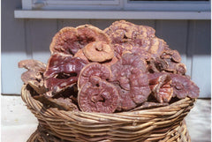 Packaging of Dragon Herbs Wild Red Reishi Drops with dropper