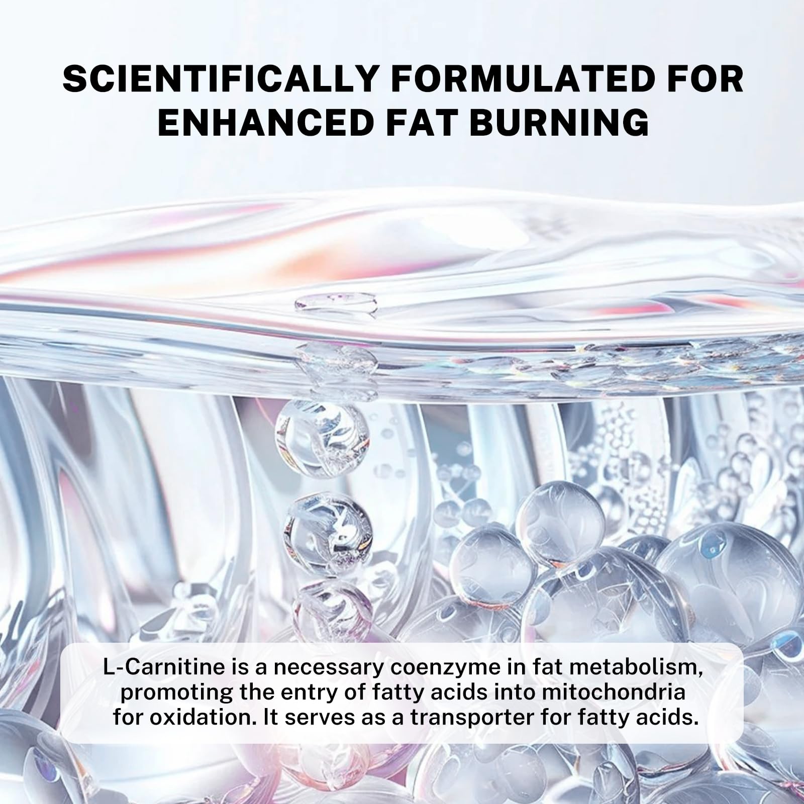 Ingredient close-up: L-Carnitine, probiotics, green coffee, yerba mate, garcinia, vitamins