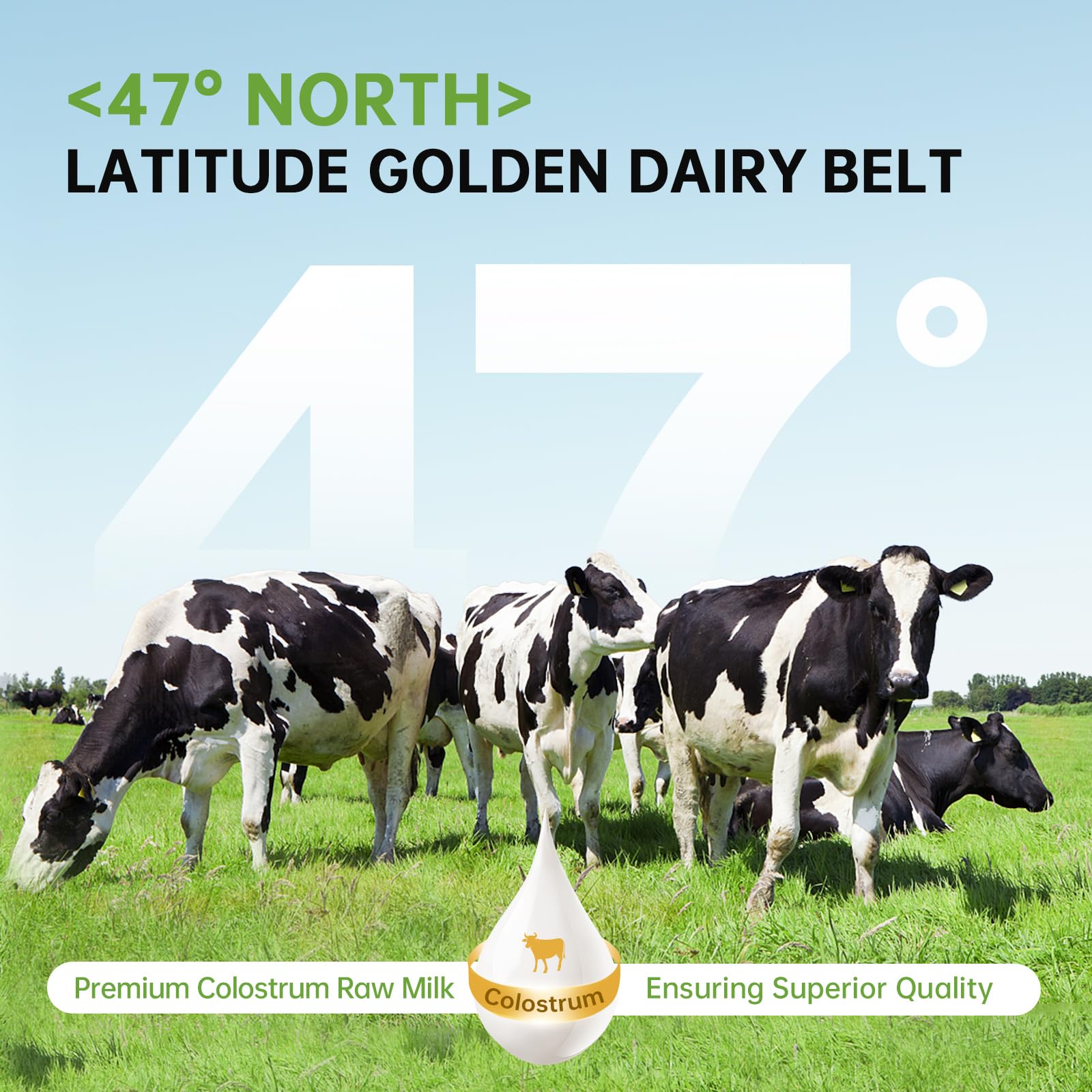 Capsules of DrBioCare Living Collagen L-Carnitine Complex