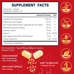 Graphic illustrating Bioperine boosting CoQ10 absorption