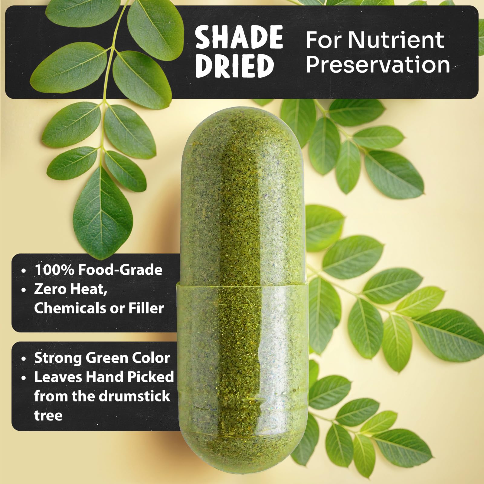 Dried drumstick tree moringa leaves