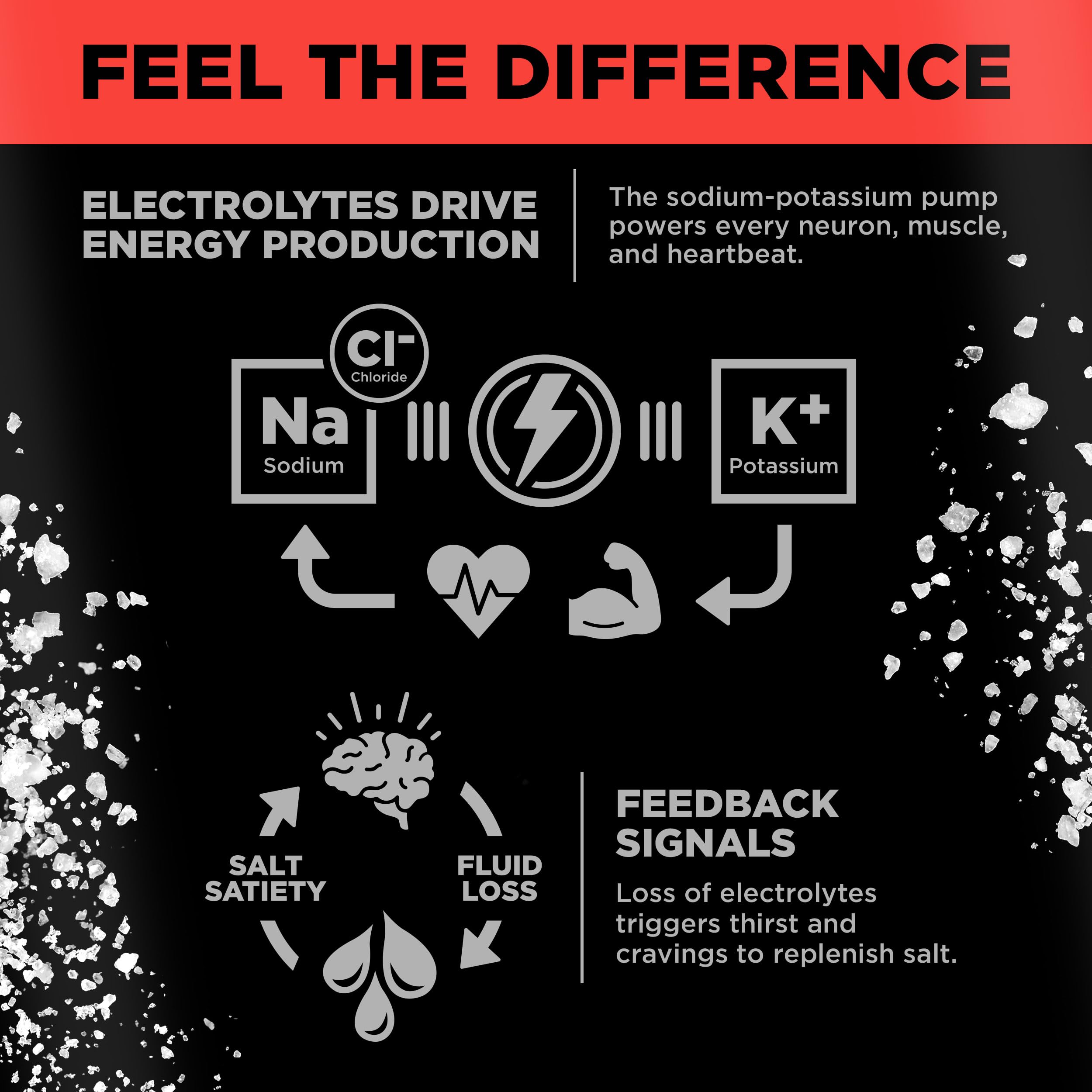 Watermelon Salt flavor LMNT Sparkling 12-count box with cans