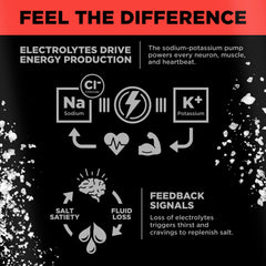 Watermelon Salt flavor LMNT Sparkling 12-count box with cans