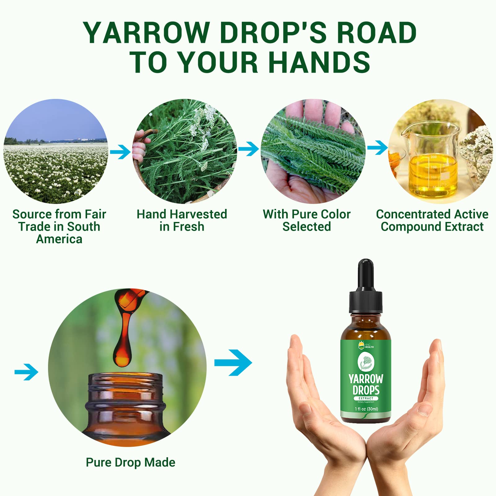 Droplets dispensed from tincture dropper