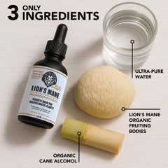 Illustration of the dual-extraction process for Lion's Mane tincture