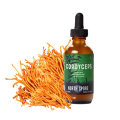 Graphic depicting dual extraction process for cordyceps