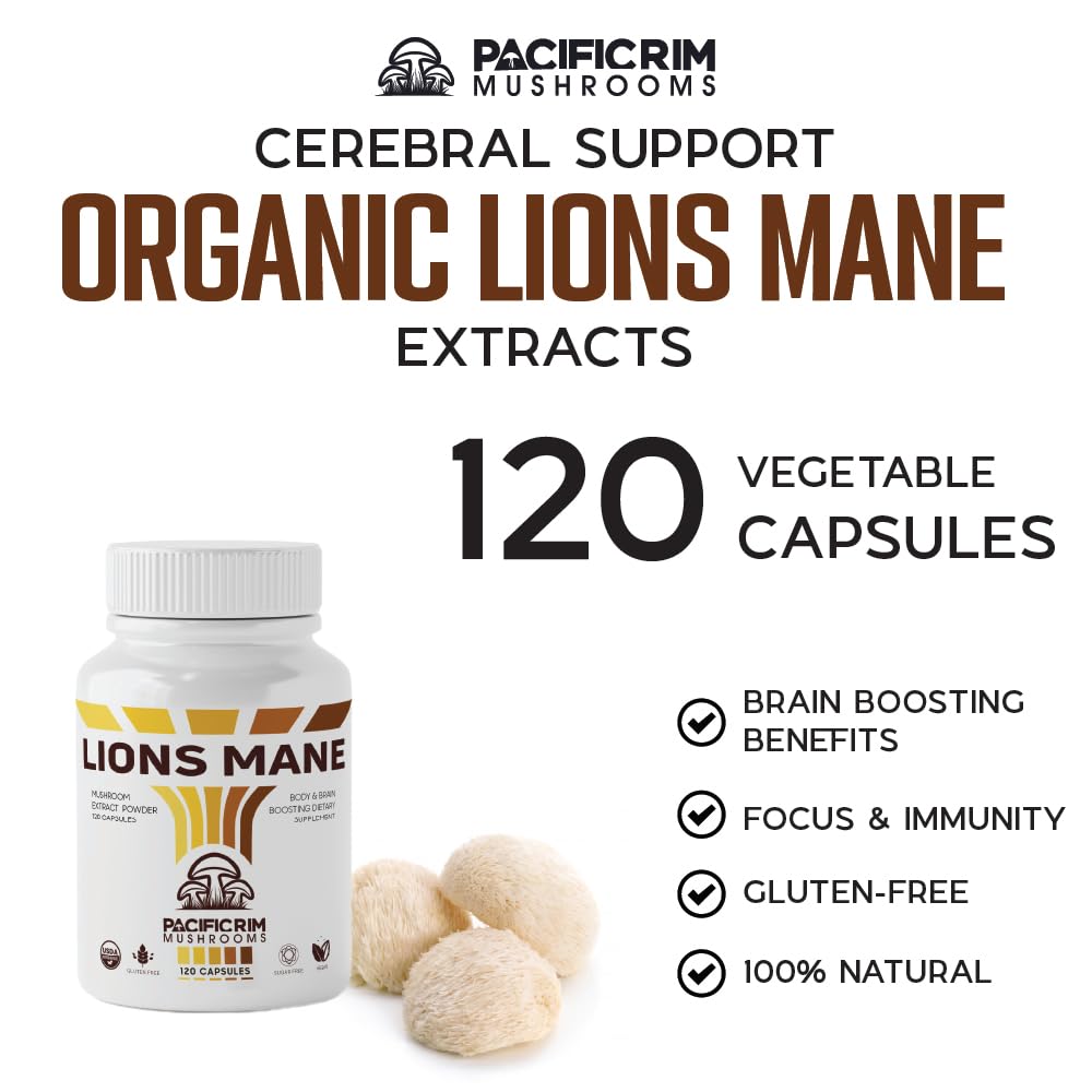 Dual-extraction processing illustration for Lion's Mane