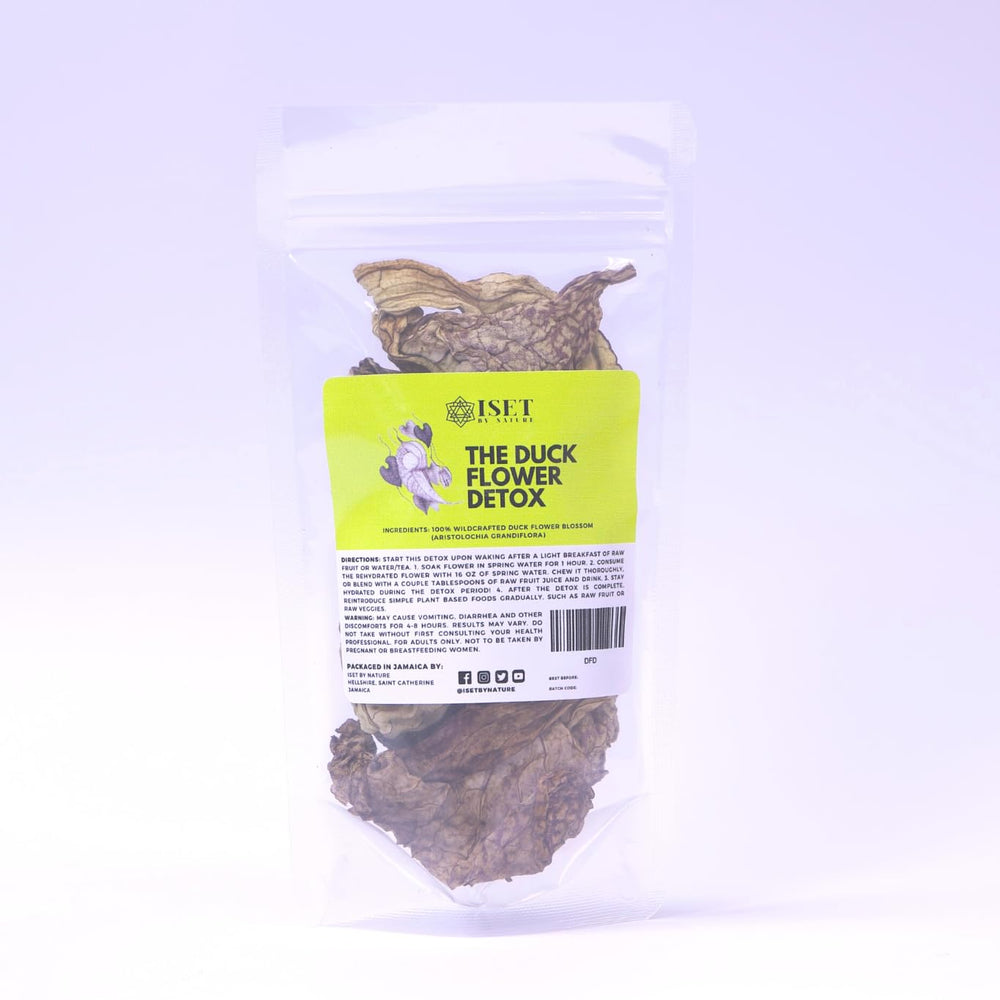 Duck Flower Detox - large Aristolochia grandiflora bloom for cleansing drink preparation.
