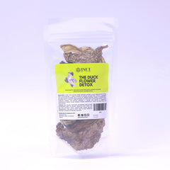 Duck Flower Detox - large Aristolochia grandiflora bloom for cleansing drink preparation.