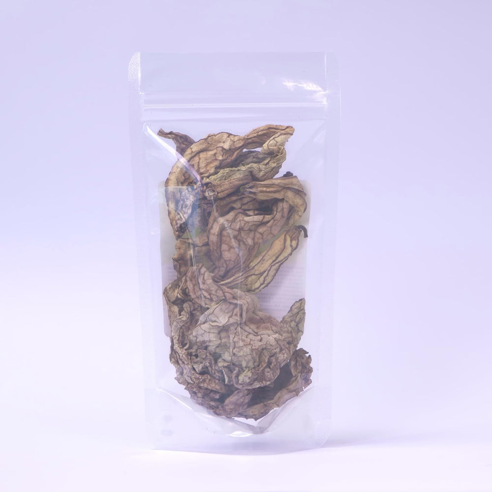 Duck Flower Detox - two smaller Aristolochia grandiflora blooms for traditional infusion.